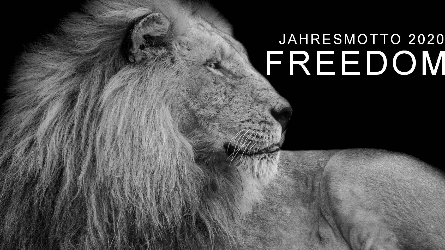 Jahresmotto 2020 - Freedom